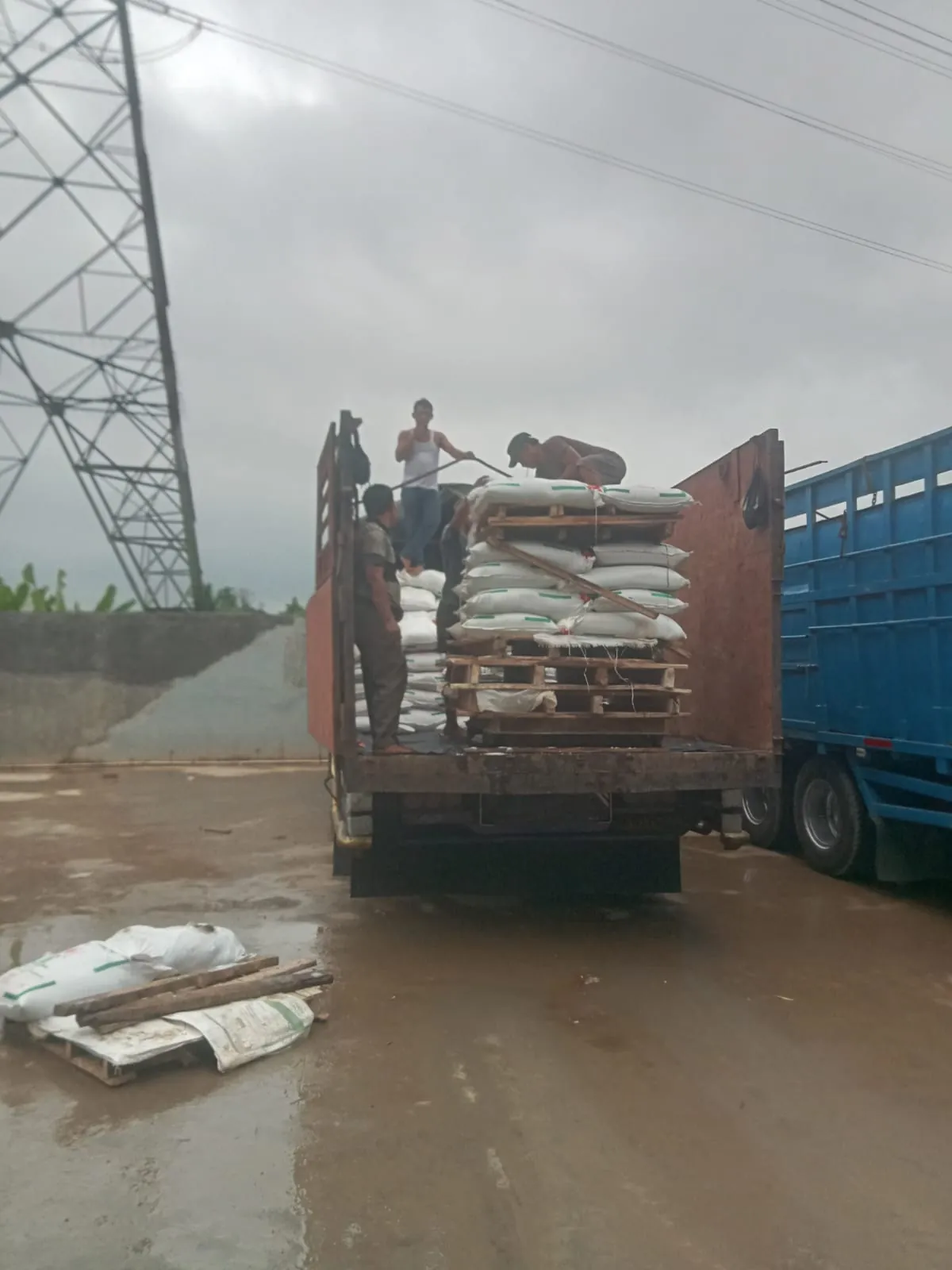 Pemuatan karung pupuk ke truk ekspedisi